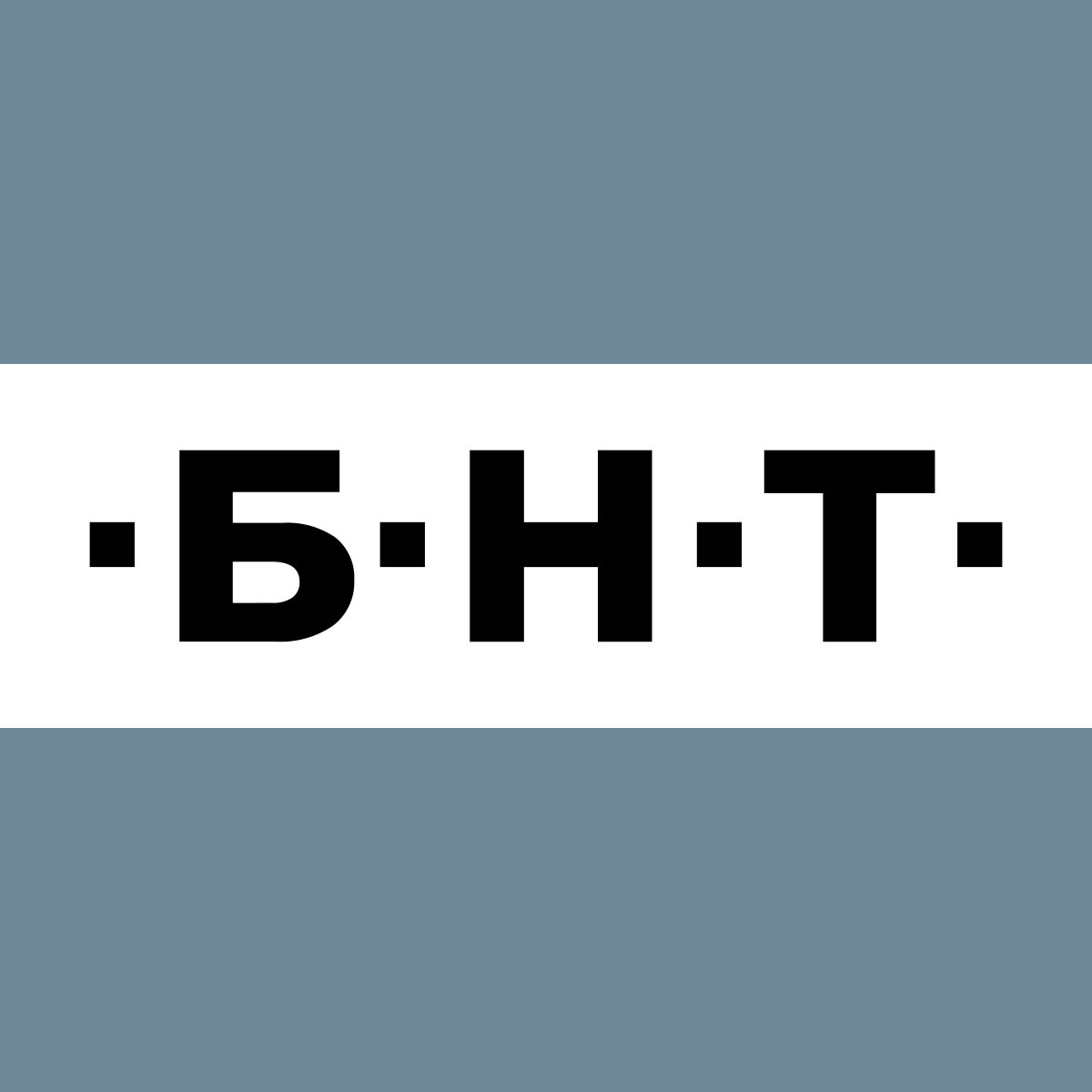 BNT logo